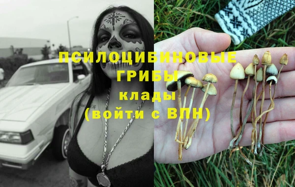 MDMA Premium VHQ Сосновый Бор