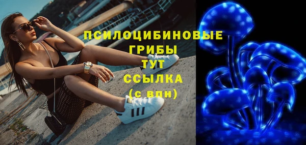 дмт Алексеевка