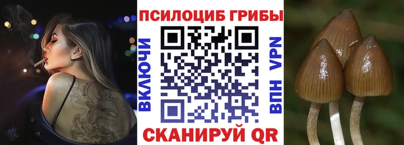 Псилоцибиновые грибы мухоморы  ОМГ ОМГ ссылки  Харовск 
